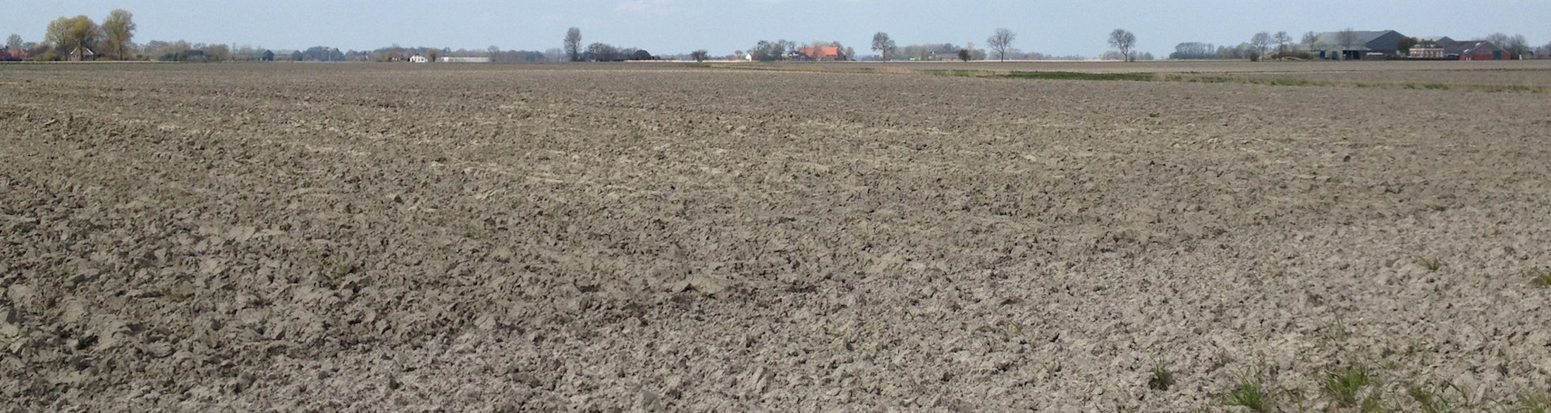 Header background image